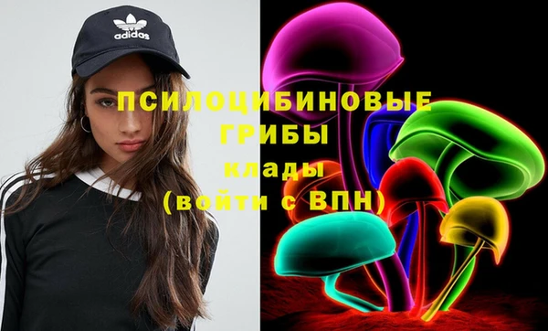 первитин Абинск