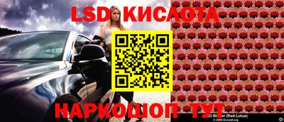 СК Волгодонск