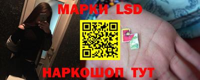 СК Волгодонск