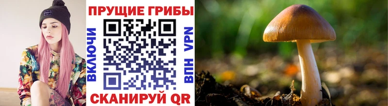 дарк нет состав  Нефтеюганск  Псилоцибиновые грибы MAGIC MUSHROOMS 